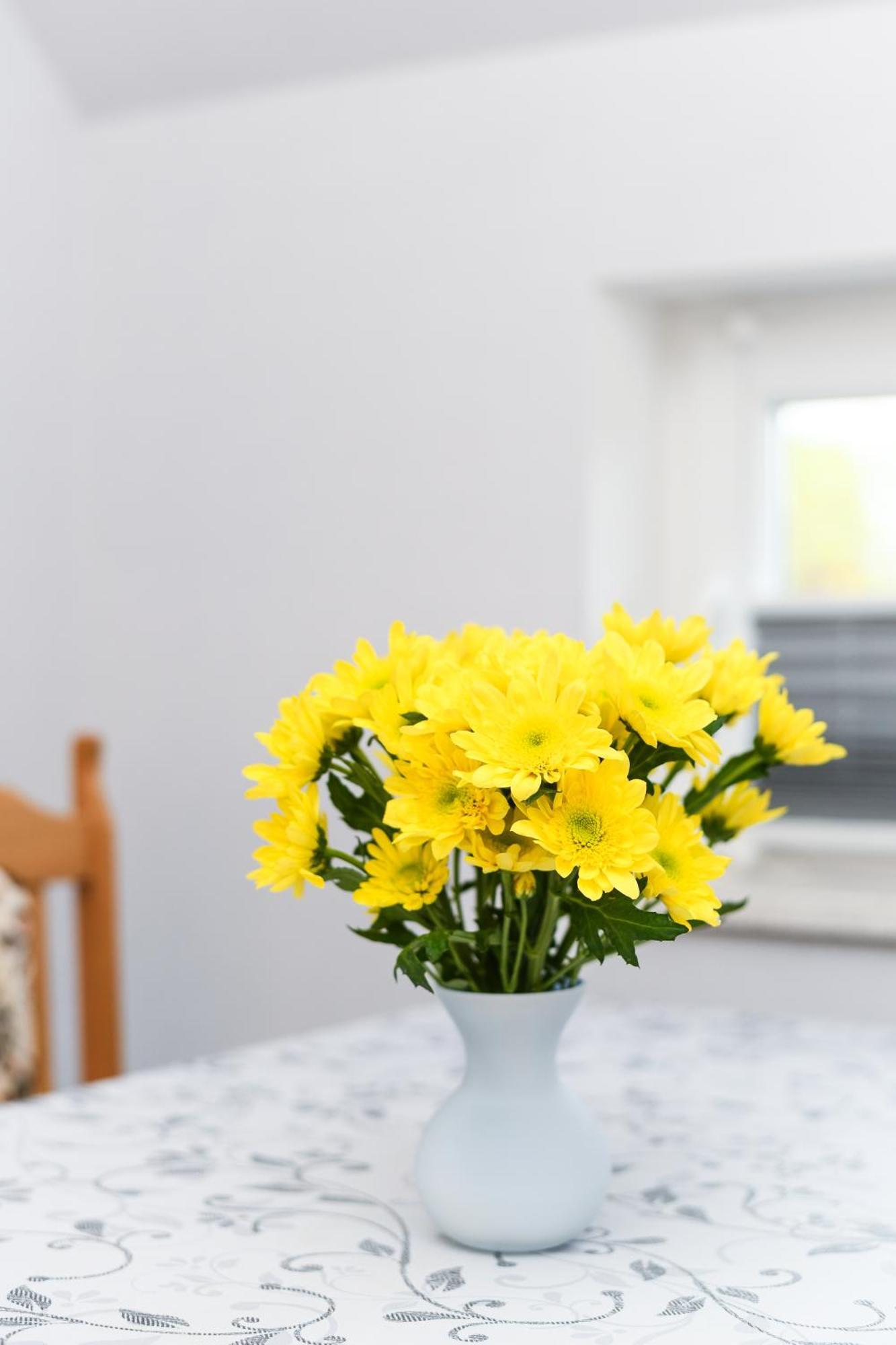 Ferienwohnung Nordmoor Blomberg  Bagian luar foto